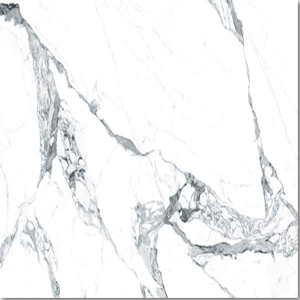 TITANIUM Titanium Calacatta Classico Grey Glossy 100x100 - 1